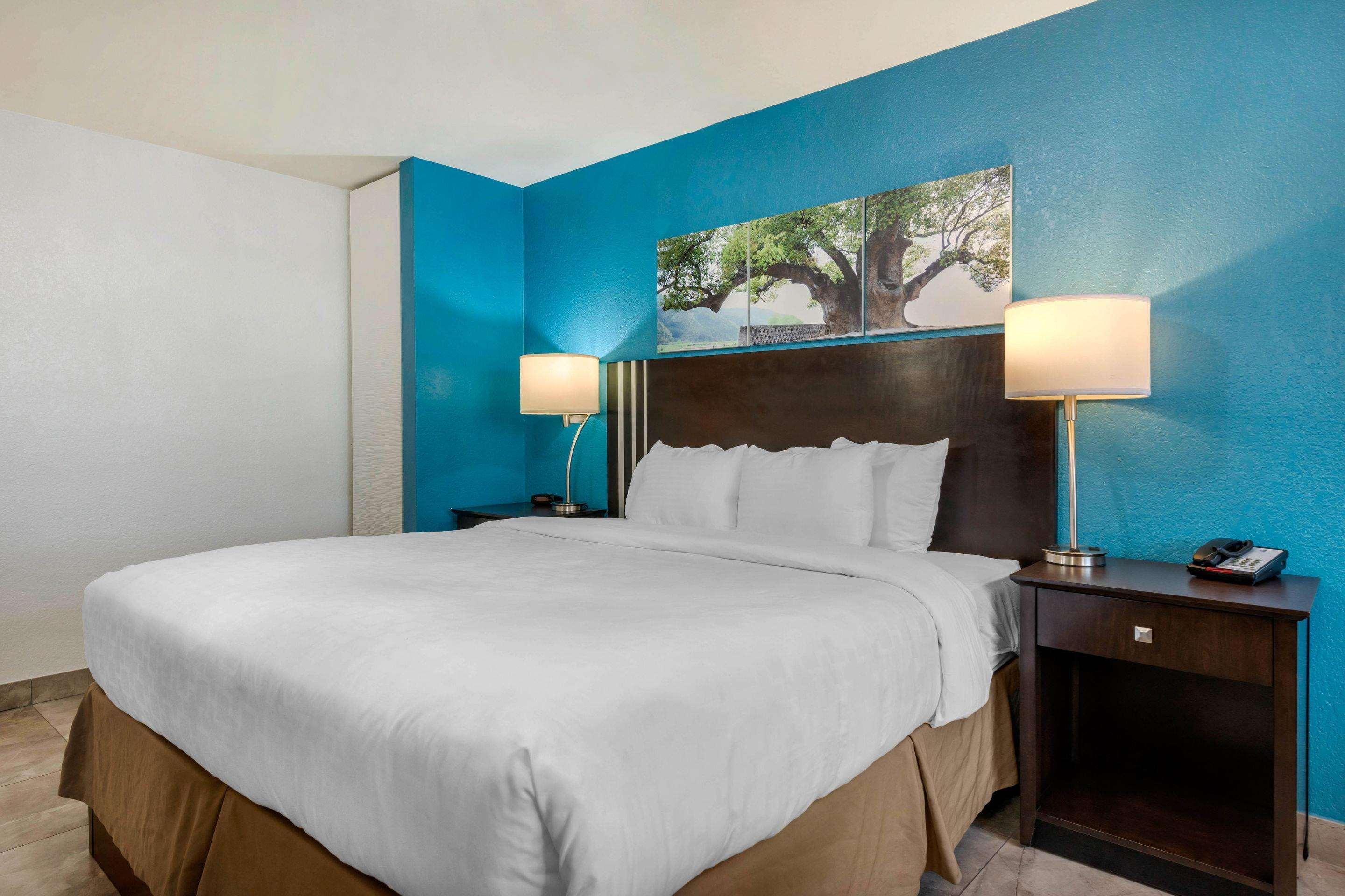 Quality Inn And Conference Center Tampa-Brandon Heartland Екстериор снимка